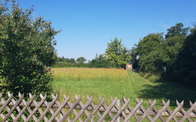 Summen über dem Brummen – Lehrbienenstand über der A96