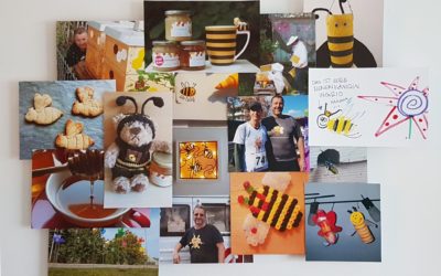 Blick zurück in Freude – 2019