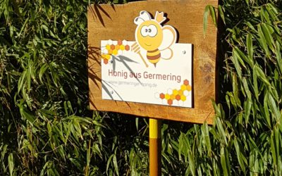 Neue Ernte des Germeringer Honigs