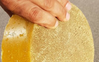 Unser Bienenwachs-Kreislauf