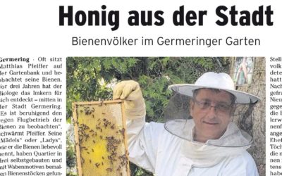Honig aus der Stadt