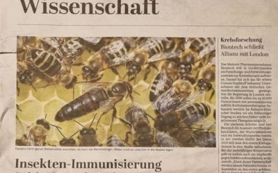 Schluckimpfung für Bienen?
