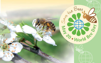 20. Mai ist Weltbienentag – Mai 2018